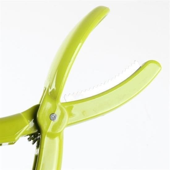 Nuvia Home® Kestane Çizici Chesnut Cutter